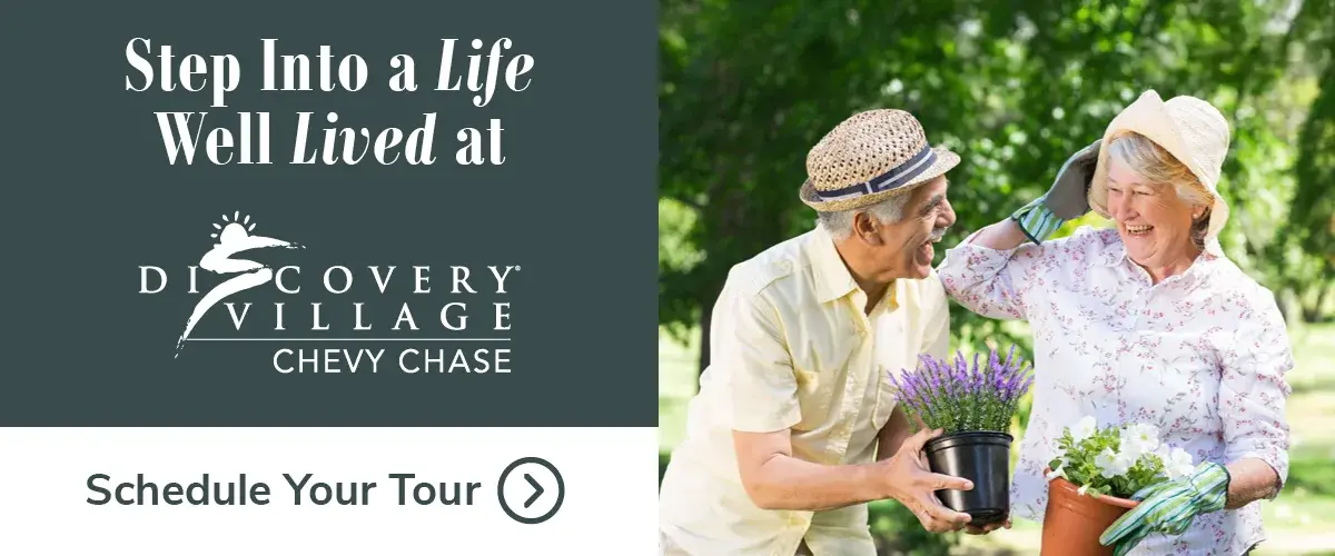 DVCC 0040 DigitalAd iProspect Step Into a Life Well Lived July 2026 1200 x 500